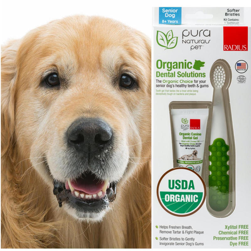 シニア犬用 8才 歯ブラシ オーガニック歯みがきジェル 22 7g セット ラディウ