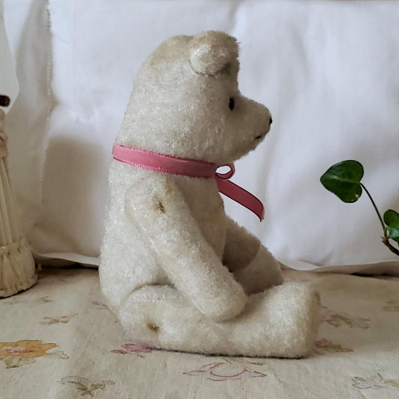 端正なお顔の白クマちゃん リボンときどきネコ