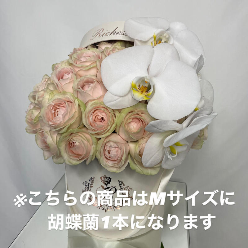 オプション 胡蝶蘭 La Richesse Des Fleurs