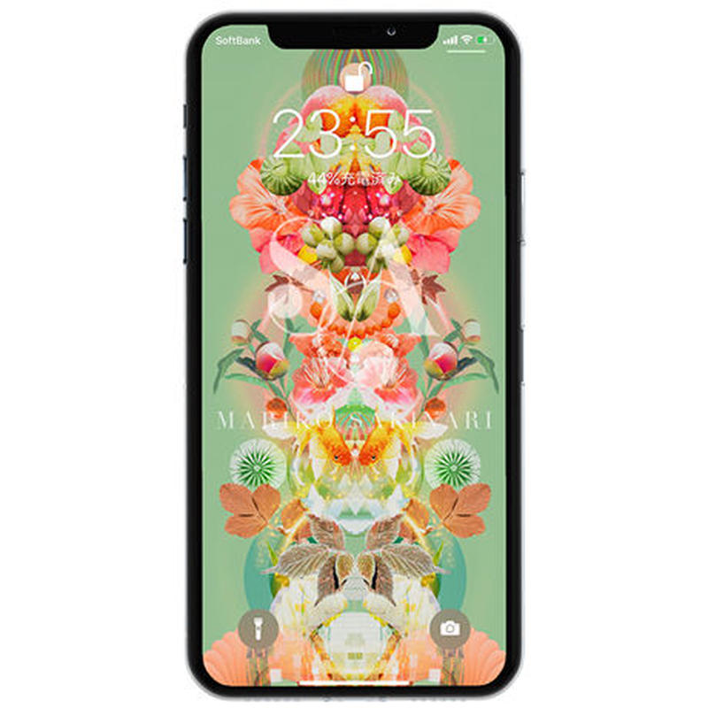 4 サイズb 裏葉柳 うらはやなぎ 無邪気 出会い 愛の選択 魅力 Sakitronica