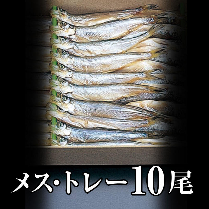 北海道産子持ちししゃも メス トレー入 10尾 はこだて浪漫館