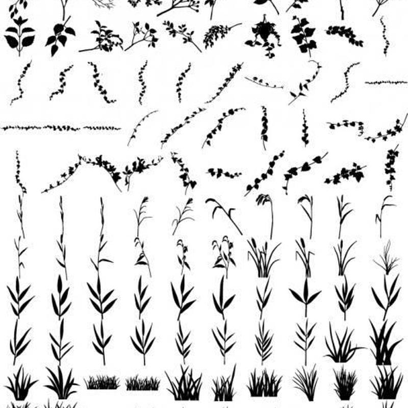 ツリーシルエット素材集 Flop Design Shop