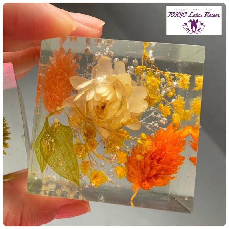 クリアリウム のキューブ カチカチタイプ Tokyo Lotus Flower
