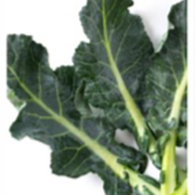 ジェックス ヘルシーレシピ ブロッコリーの葉 Royal Chinchilla Onlin