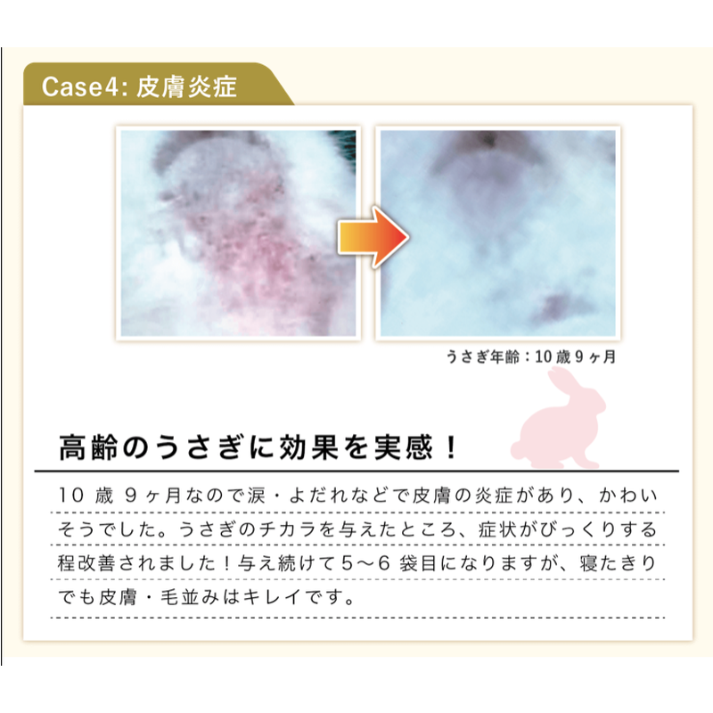 高濃度機能性食品 うさぎのチカラ 1錠 Royal Chinchilla Onl 高濃度機能性食品 うさぎのチカラ 1錠 Royal Chinchilla Onl