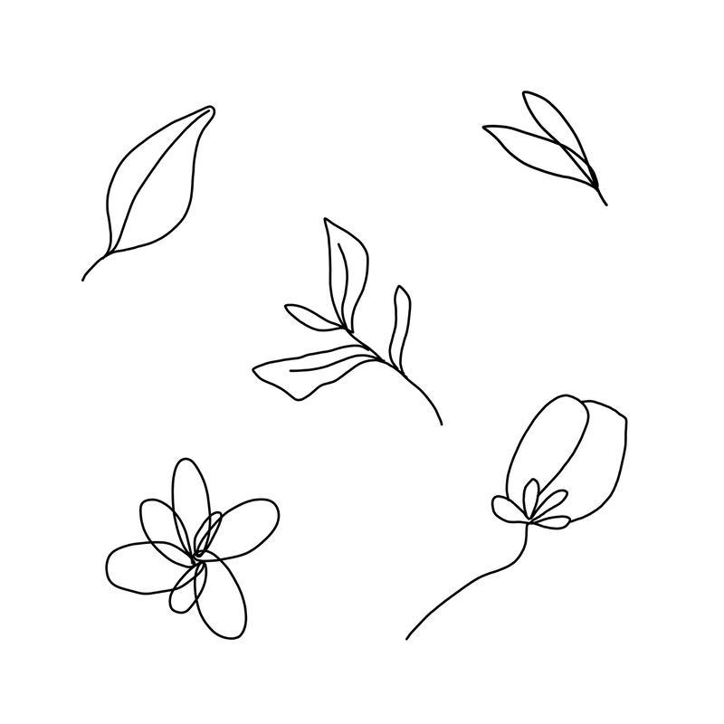 花 挿絵用イラスト ダウンロード Rusticsign