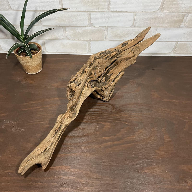 流木オブジェ 流木インテリア