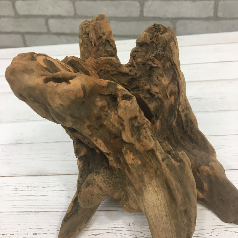 流木のかけら 大 オブジェ インテリア Kl 流木販売 流木のふるさと 流木
