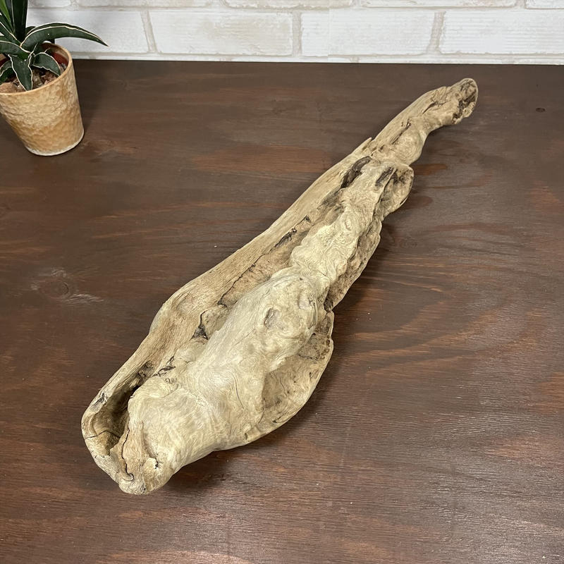高身長　63cm　キリン　2頭　一刀彫　一つの木材　迫力 高級 居合木刀(樋入り) 【白樫】 | 販売