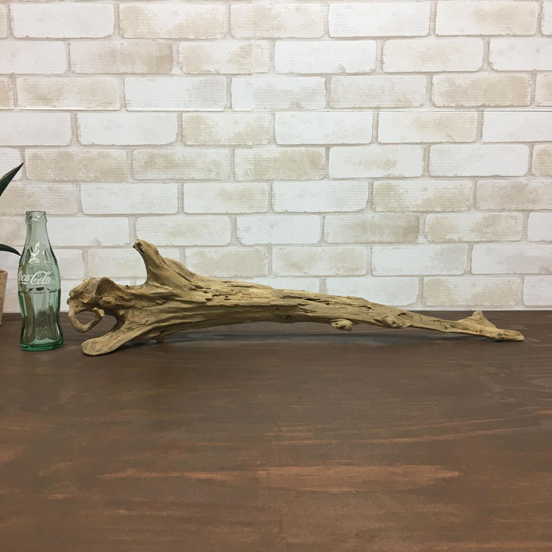 ト送料込 中型流木2個セット | ccfl.ie