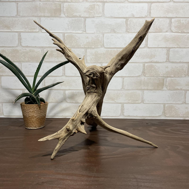 沖縄　流木　ドリフトウッド　龍　ドラゴン　鹿　竜 波照間 加工なし！フィリピンにある「流木のドラゴン」のクオリティが高すぎる