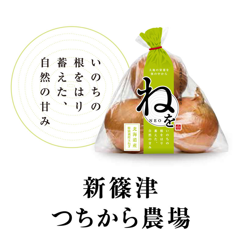 極上のオニオンスープ 6食入 Cercle Stores