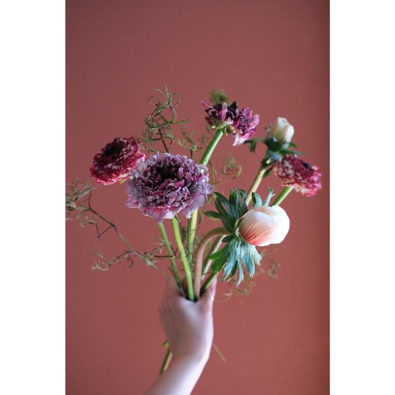 アネモネ ラナンキュラスアソート Sai Botanical Works