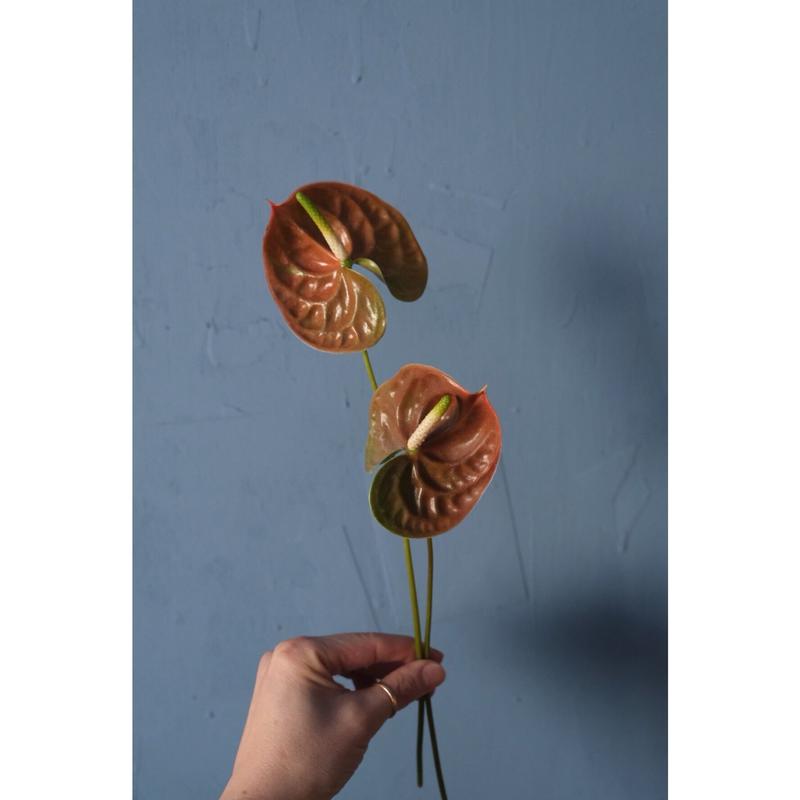 ガーベラとスイートピーの花束 Sai Botanical Works