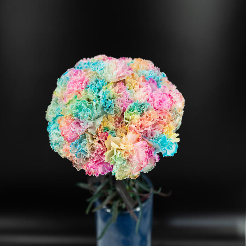 先行予約 レインボーカーネーション 本セット Tsuysohi S Flowers