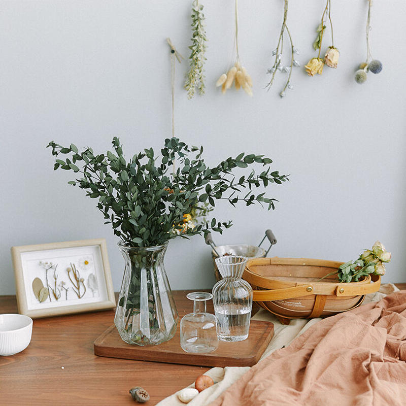 ユーカリのドライリーフ Salt 北欧インテリア雑貨 ペットグッズ