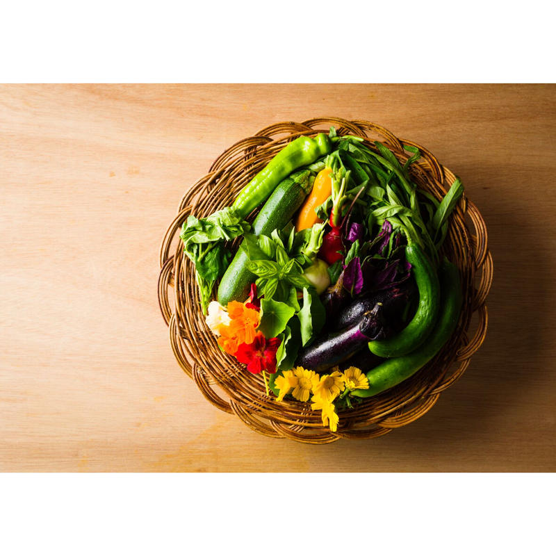 8月の美味山菜セット 冷製月山山菜そばセット 2人前 と出羽屋農園の夏野菜 山菜料理出羽屋