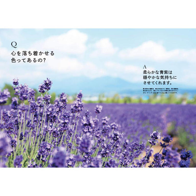 本 世界でいちばん素敵な色の教室 三才ブックス オンラインショップ