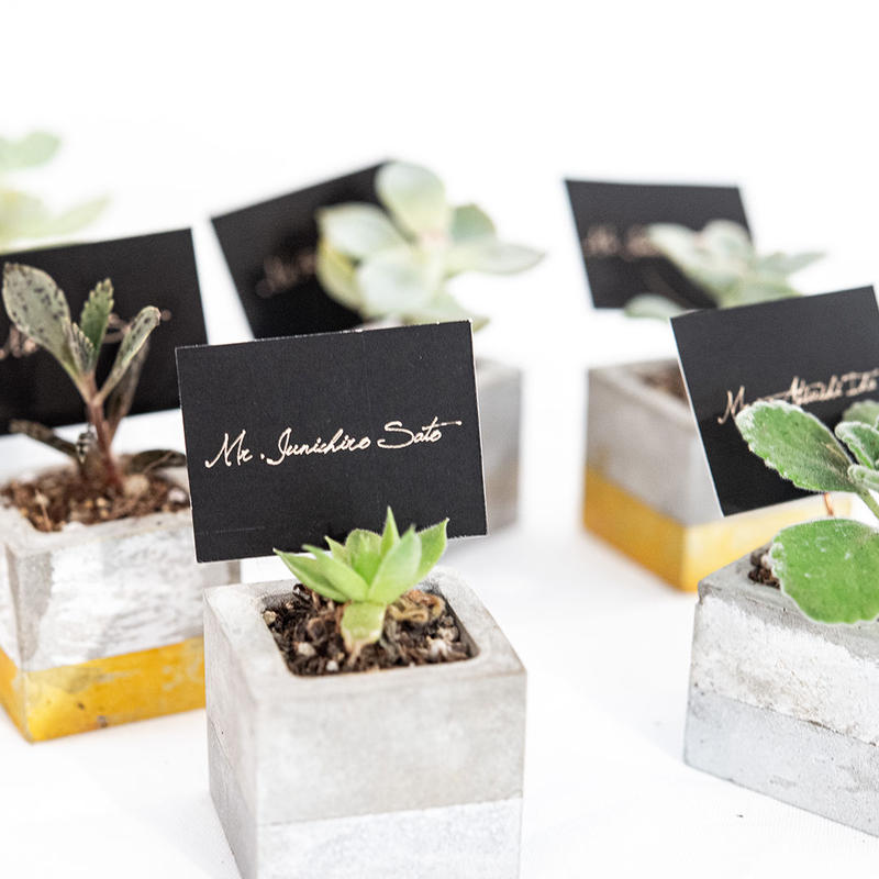 多肉植物の席札 Sato Risa Graphic Design 多肉植物の席札 Sato Risa Graphic Design