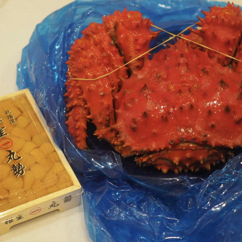 受注生産 根室カネタ竹内 一流エゾバフン雲丹 魚介 Sanamcourier Com