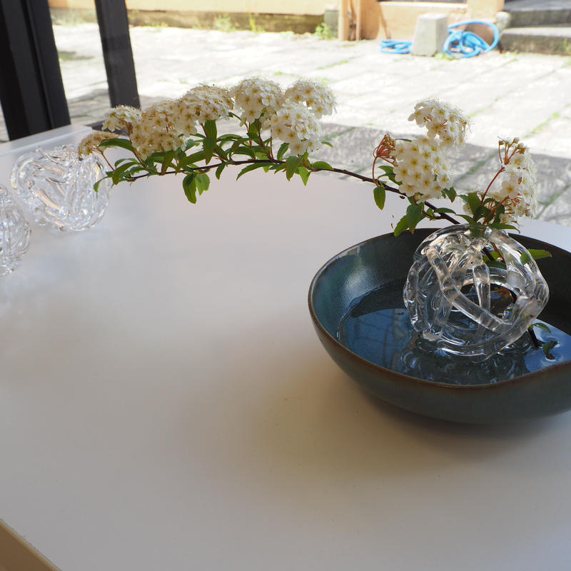 硝子の花留 Seeds