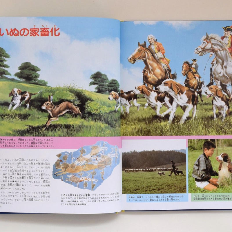 小学館の学習百科図鑑 いぬとねこ 誠光社 通信販売