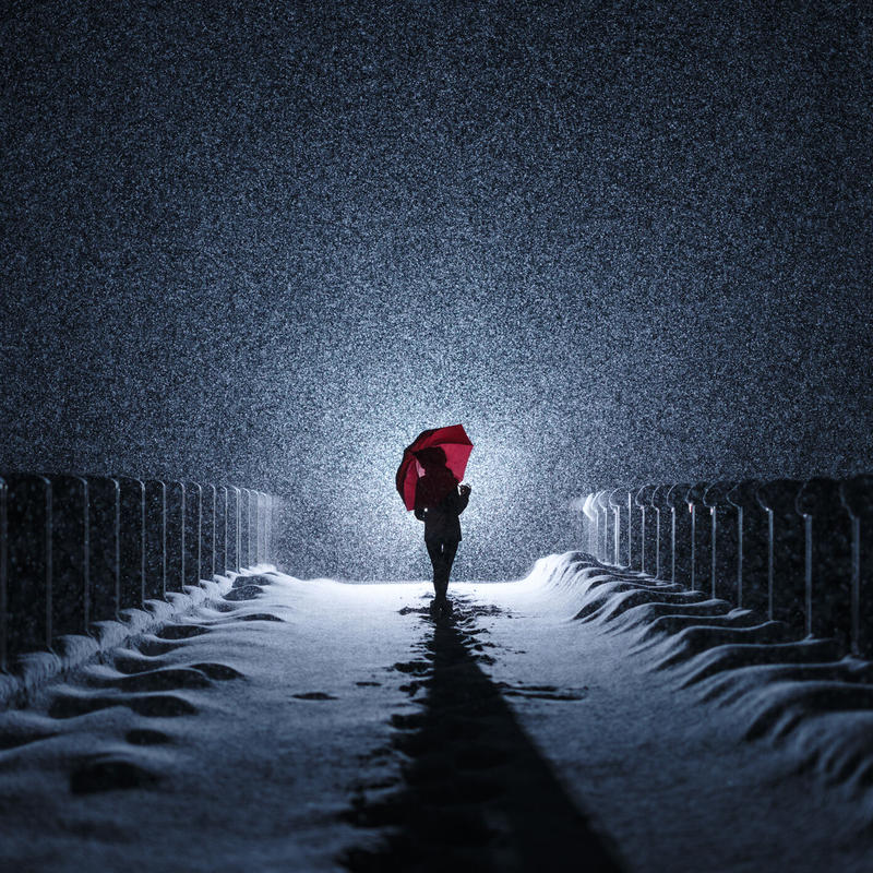 猿 風景 ポートレート 夜 ライティング盛り盛り写真教室 Plus One