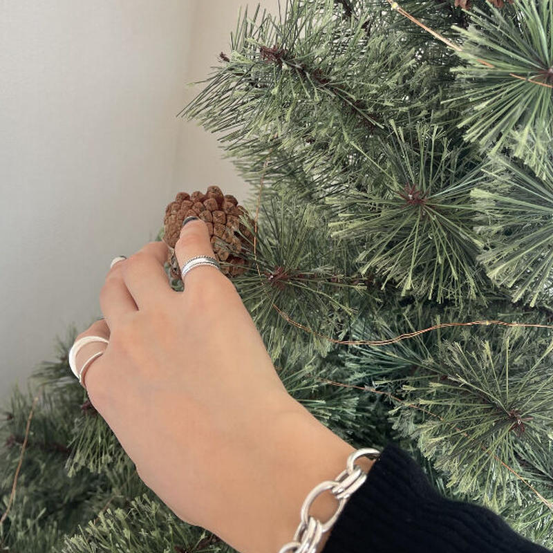 T.japan アリエスミラージュ　シルバー925 ロングネックレス T.japan アリエスミラージュ シルバー925 ロングネックレス