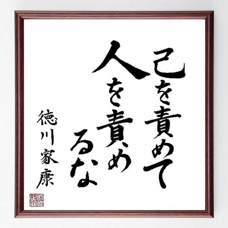 名言色紙 己を責めて 人を責めるな 徳川家康 額付き B0075 名言色紙 千言堂
