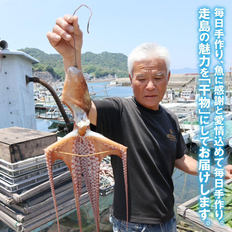 瀬戸内海の干物福袋 詰合せ５００g タコ 大人気のタコと 季節ごとに獲れる魚を福袋のように