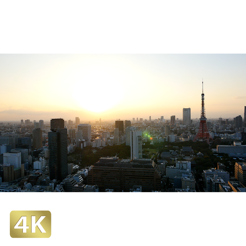 東京 東京タワー夕景 ロイヤリティフリー 4k Fhd動画 映像素材