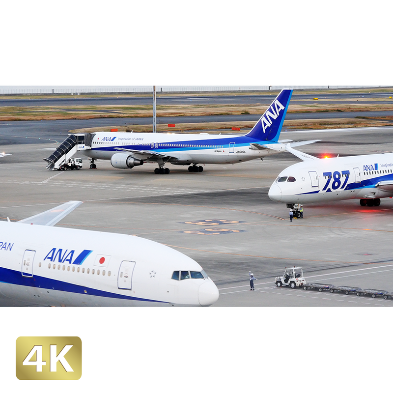 東京 羽田空港 ロイヤリティフリー 4k Fhd動画 映像素材 Amo