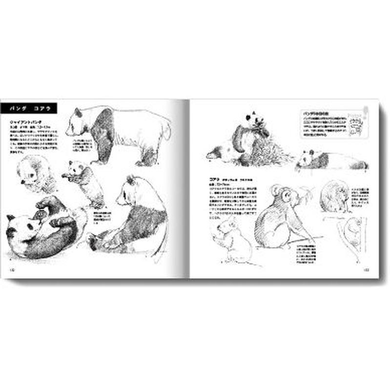 見てすぐ描ける 動物スケッチ みみずくの本屋さん