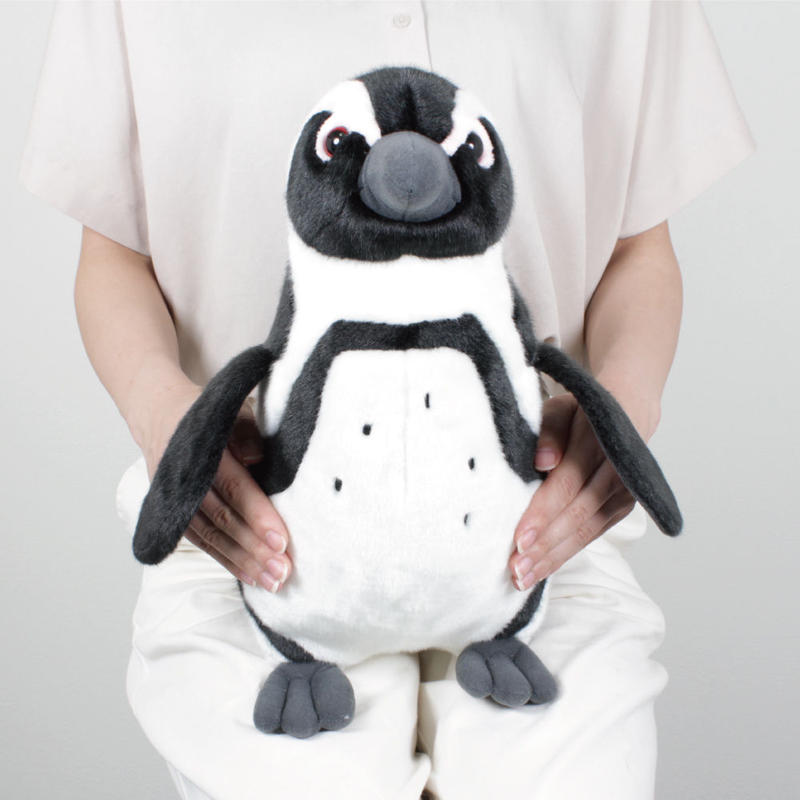 リアルぬいぐるみ ケープペンギン 四国水族館ミュージアムショップ