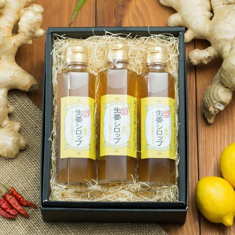 3本セット ガツンとくる生姜感 四万十すりおろし生姜の辛口無添加ジンジャーシロップ 風と