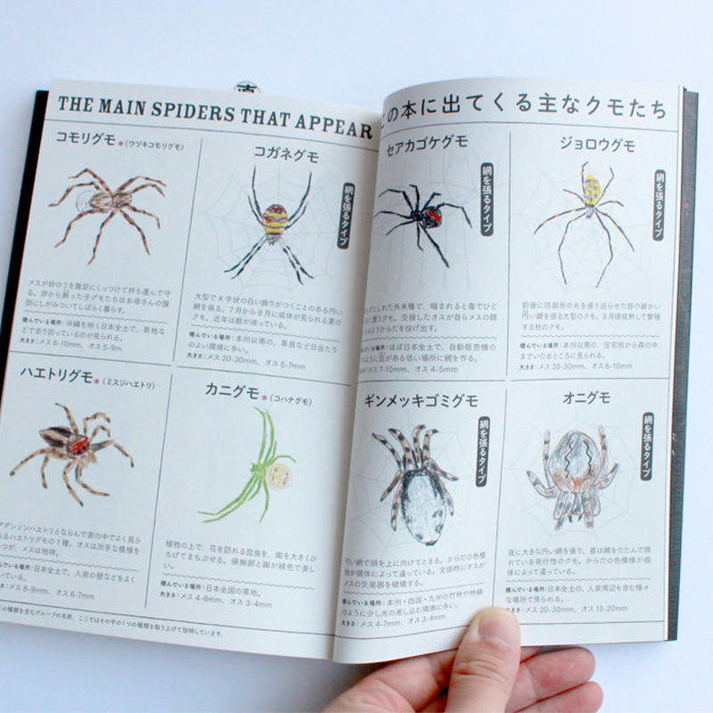 クモのイト ミシマ社の本屋さんショップ