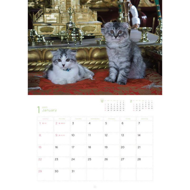カレンダー 23年 壁掛け 岩合光昭 福ねこカレンダー 23 カレンダー 23