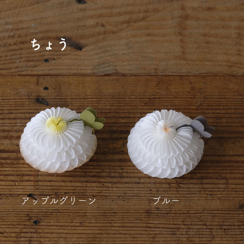 花さくメッセージカード ちょう Sサイズ Salvia