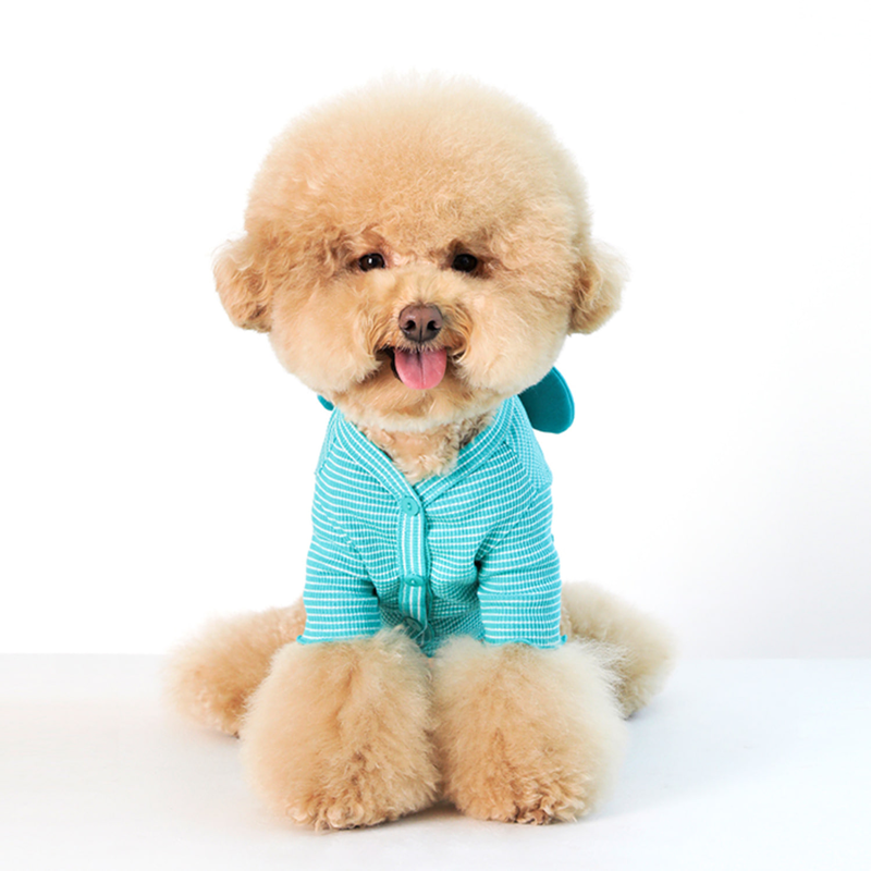 ミッキーマウス ボーダーカーディガン エメラルドグリーン Shubeans Petstyl