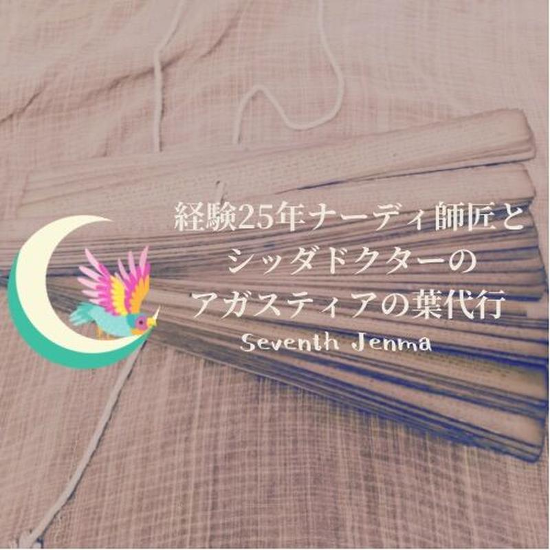 アガスティアの葉 2章 12章 経験25年以上師匠級ナーディリーダーによるナーディリーディング