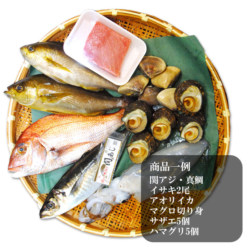 市場から直送する 旬の魚介 鮮魚 セット 極 関アジ または 関サバ が必ず入る しんけん商店