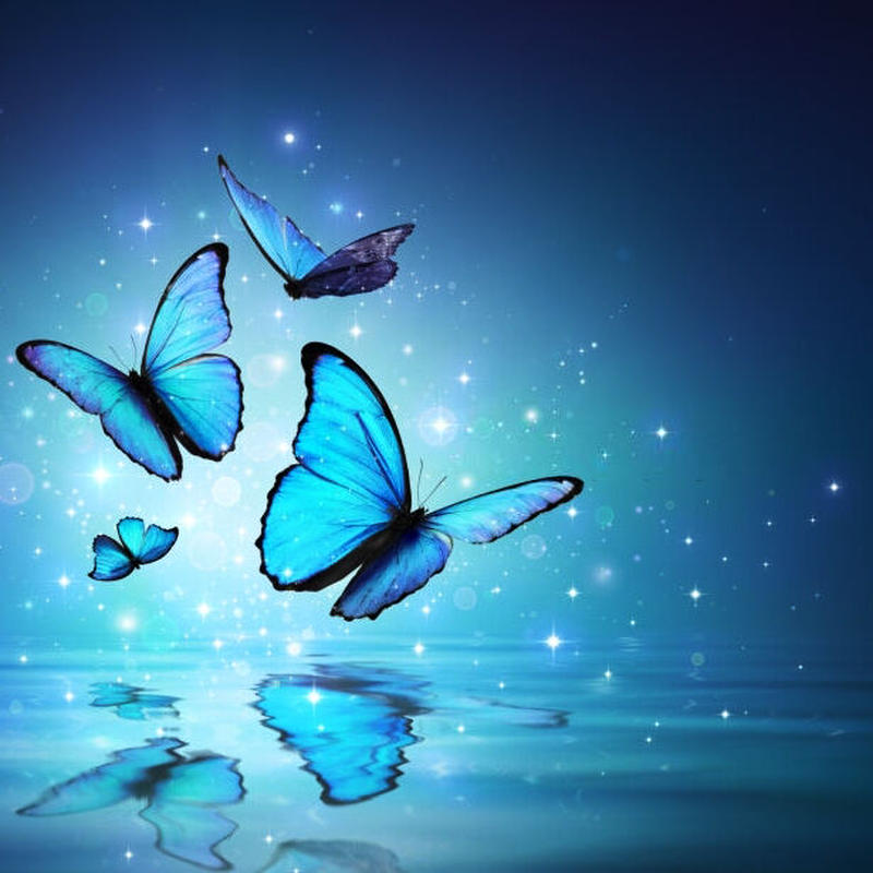 著作権フリー音楽60分 オルゴールbgm 思い出 安眠 優しい 感動 懐かしい Mb002 著作権フリー音楽60分 オルゴールbgm 思い出 安眠 優しい 感動 懐かしい Mb002