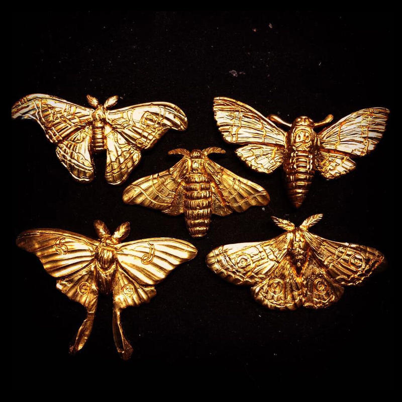 Solid Design Sd 538 生き物図鑑 蛾シリーズ ヤママユガシルバーリング