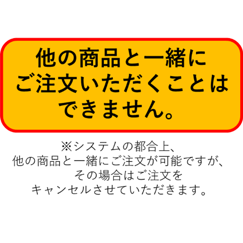 予約受付終了 再販 4個入りパック 1 1 オニタマオヤモリ アルマジロトカゲ 予約 2