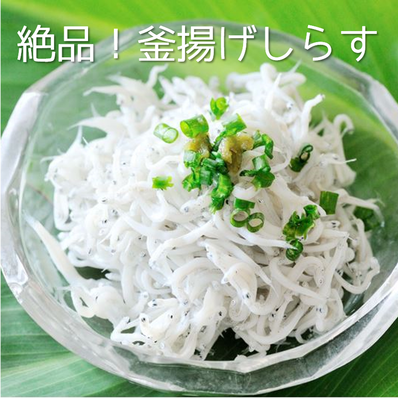初物 期間限定 鮮度抜群 漁港直送 春を感じる釜揚げしらす お家でしらす丼を楽しめるた