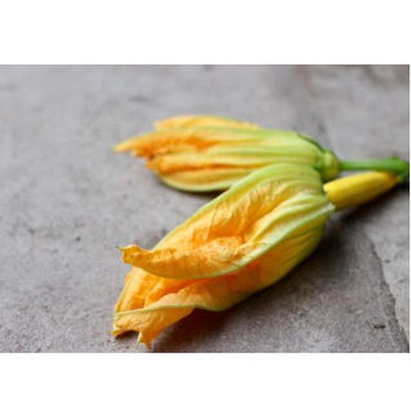 自然栽培ズッキーニ 食べくらべセット Soya Unehata