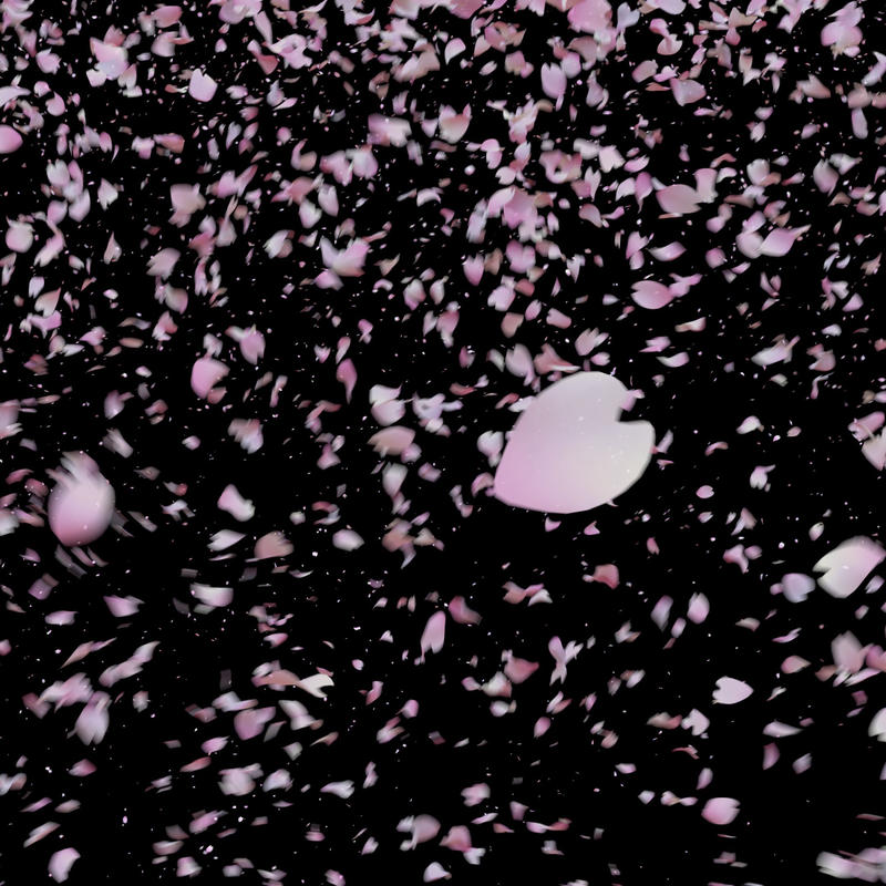 桜吹雪1 2 桜多めバージョン 桜が舞い散るcg動画素材 4k ソザオール