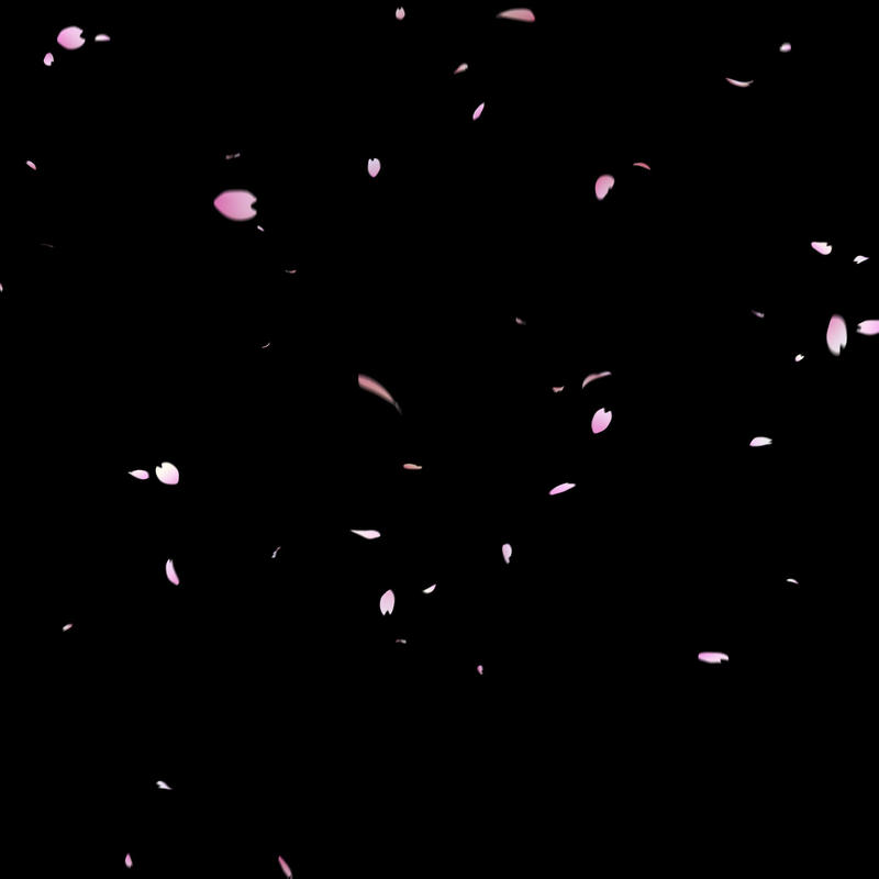 無料素材 桜吹雪4 5 桜少なめでちょうどいい量バージョン 桜が舞い散るcg動画素材