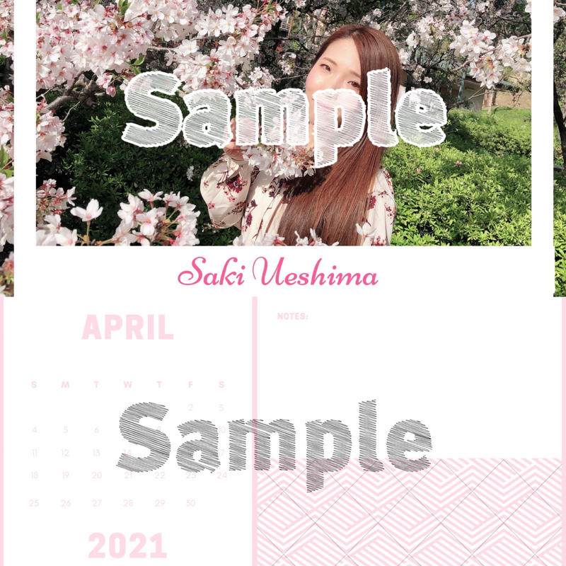 植島さきオリジナルポストカード カレンダー S P M Records Shop