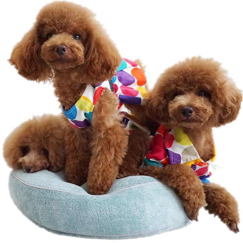 チャリティー ポーチ Picnic X ドットワンピ ロージーのお部屋